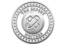 The Expert Writers