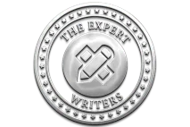 The Expert Writers